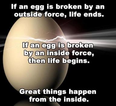 Egg life begins inside