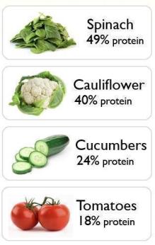 Veggie protein